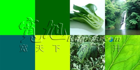 网页设计之色彩搭配索引—绿色